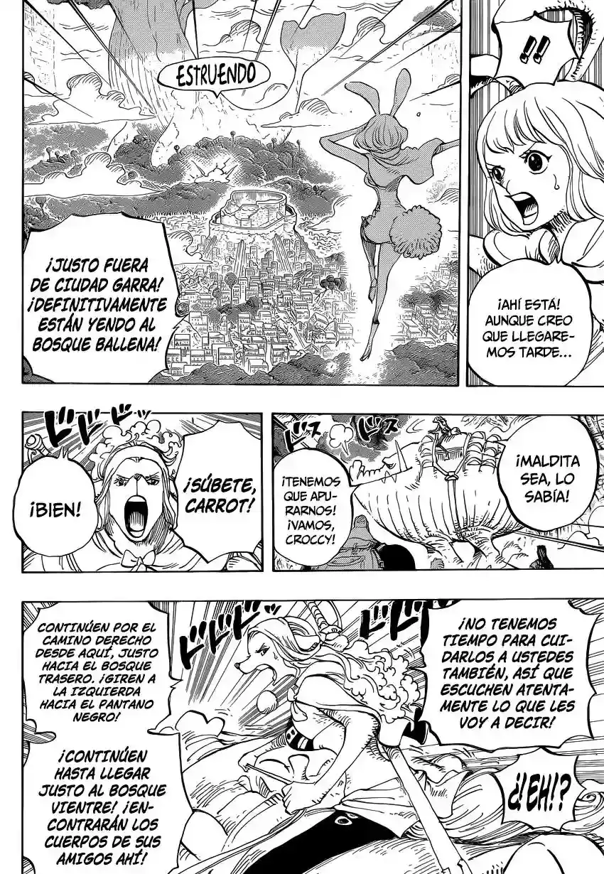 One Piece Capitulo 805 página 5
