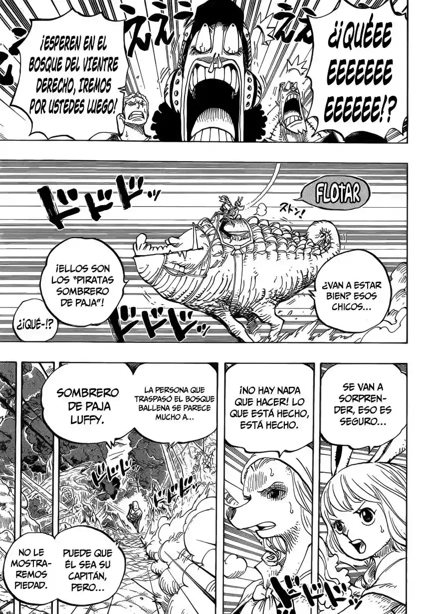 One Piece Capitulo 805 página 6