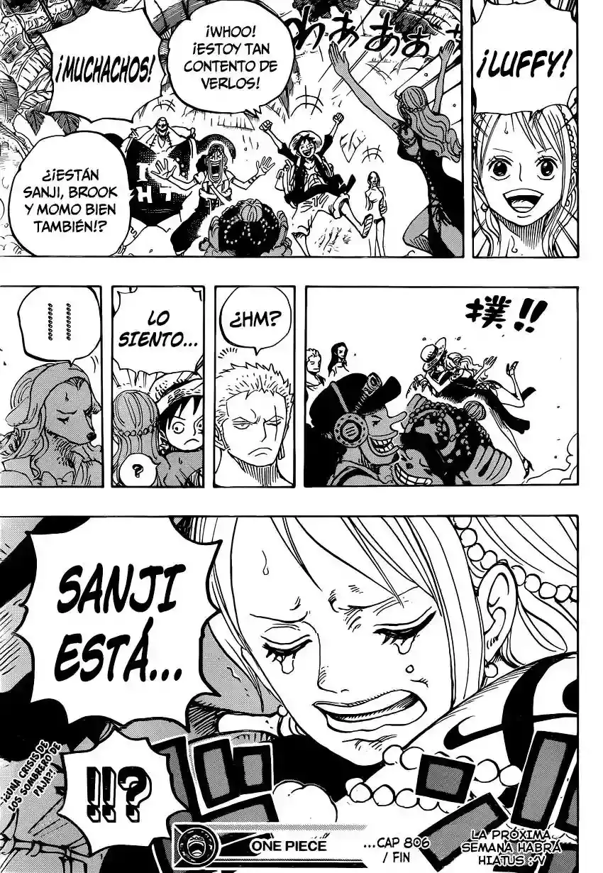 One Piece Capitulo 806: En el fuerte de Right Belly página 17