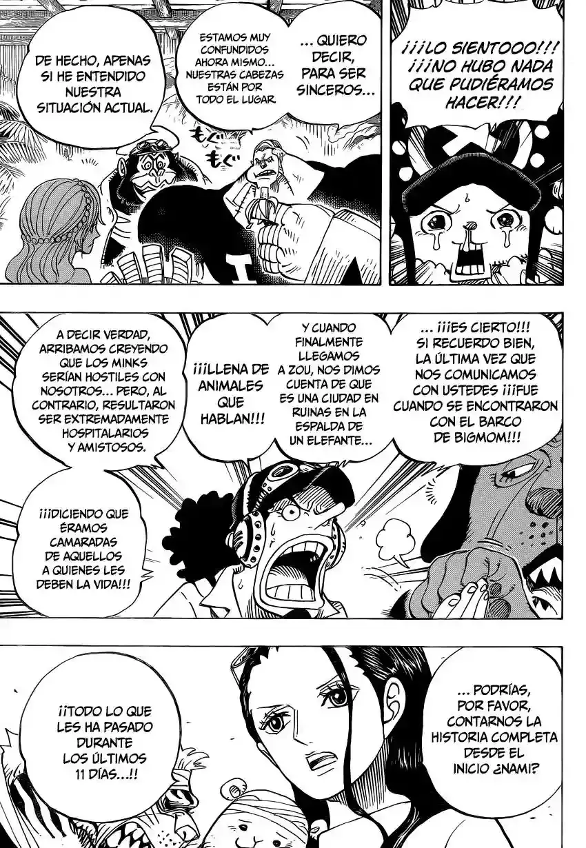 One Piece Capitulo 807: Hace Diez Días página 7