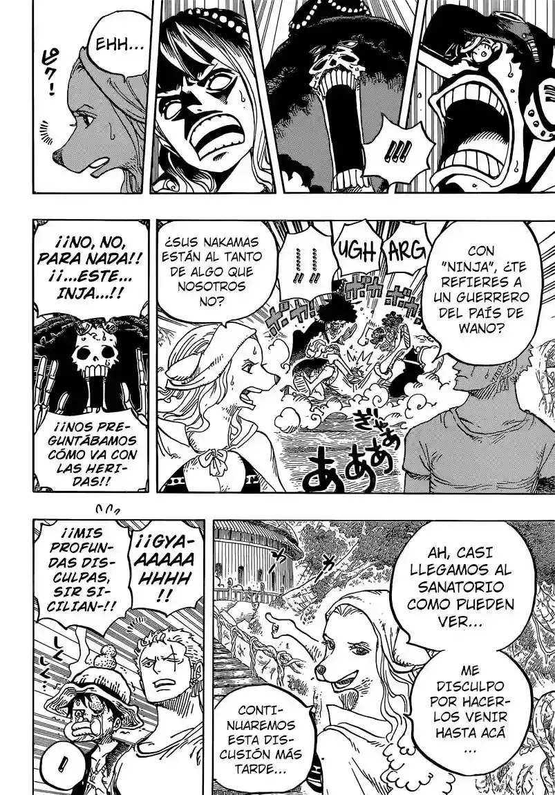 One Piece Capitulo 808: El Duque Inuarashi página 12