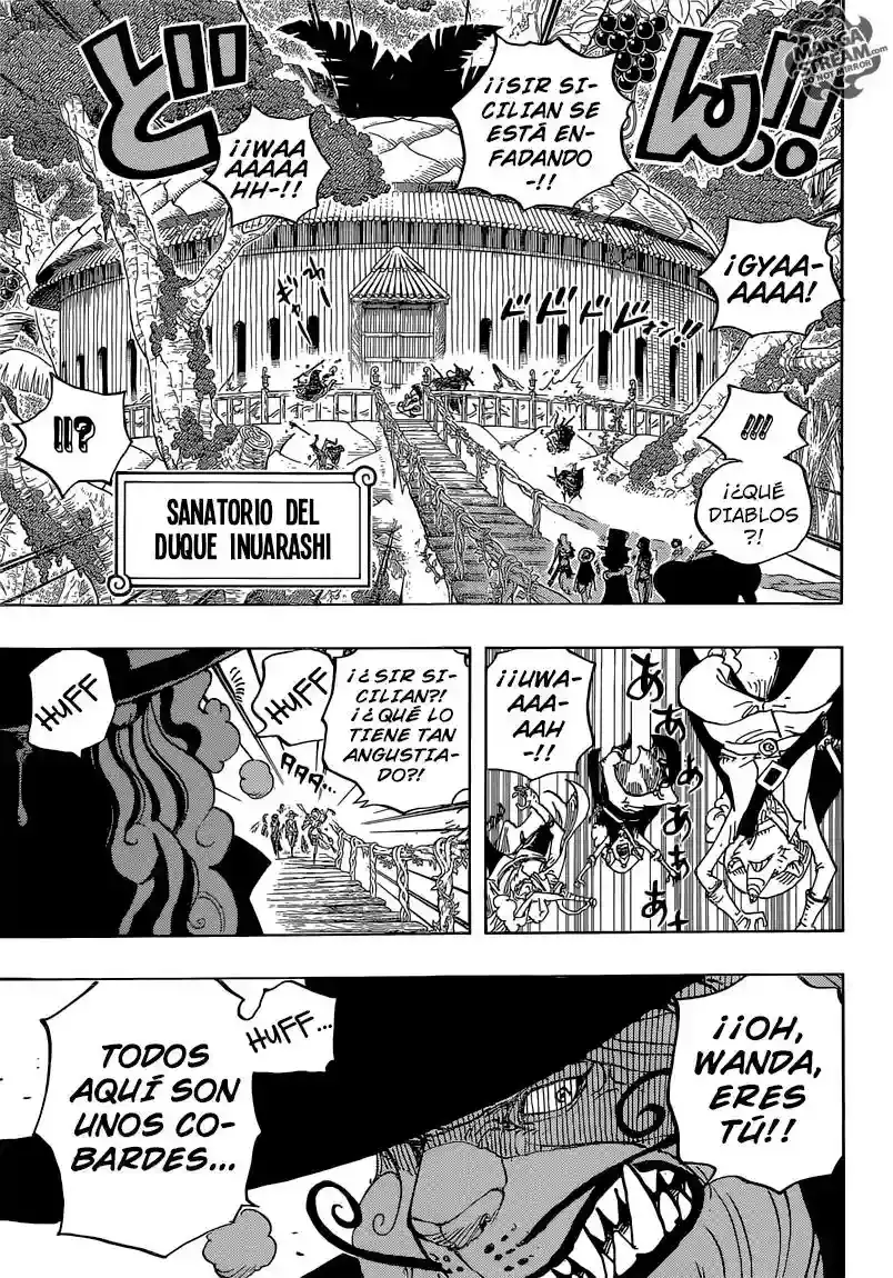 One Piece Capitulo 808: El Duque Inuarashi página 13