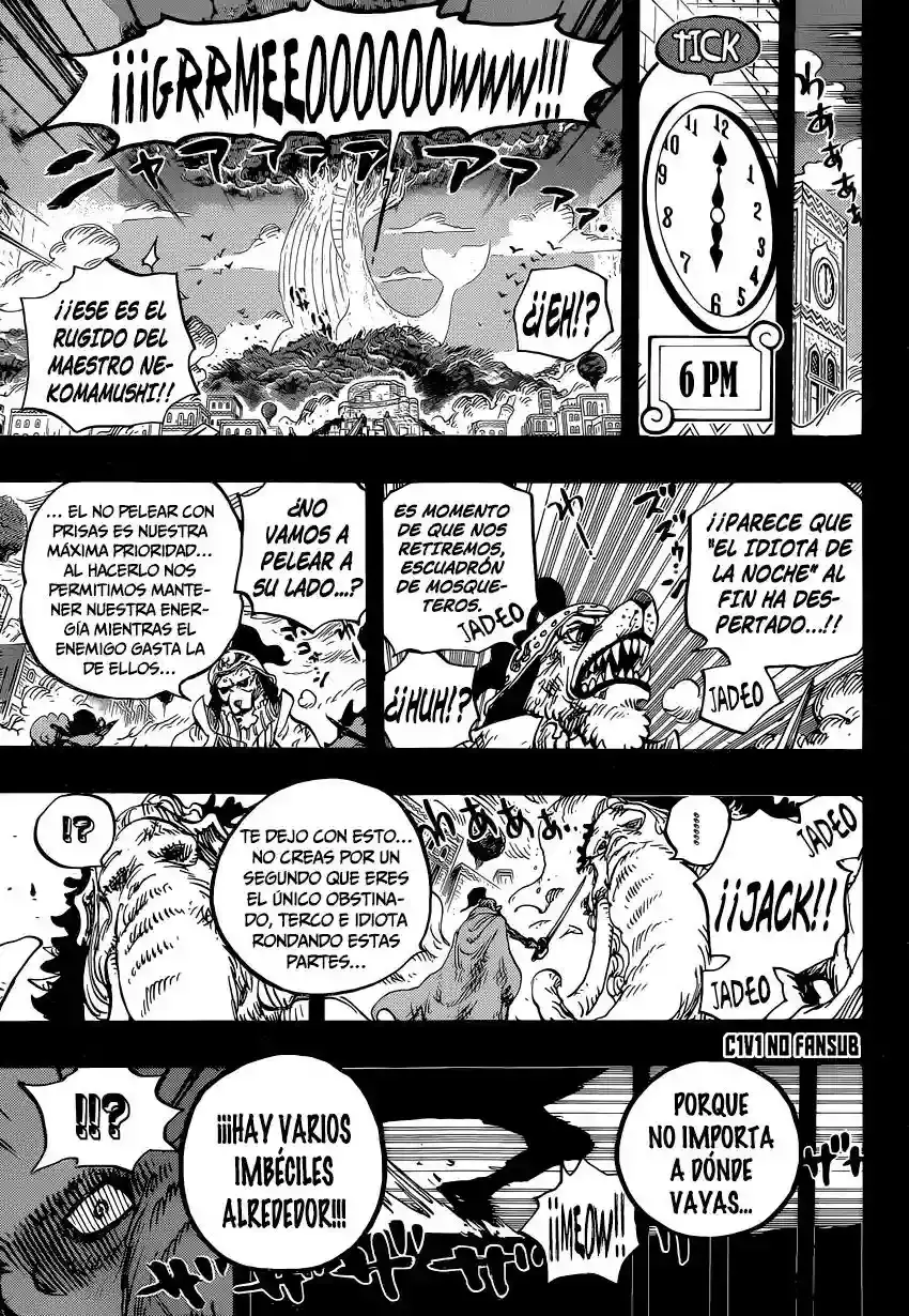 One Piece Capitulo 809: Maestro Nekomamushi página 15