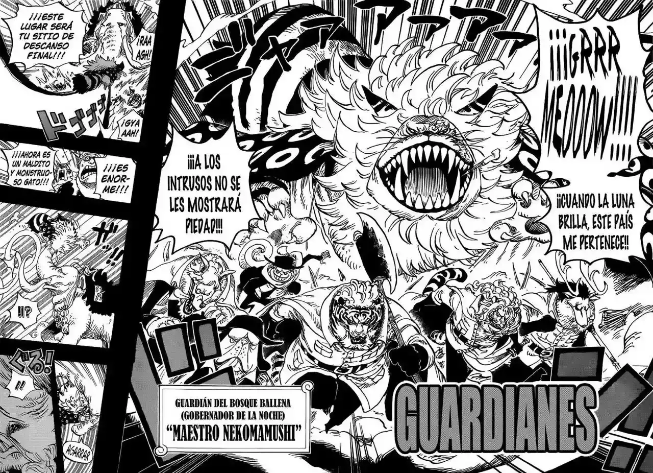 One Piece Capitulo 809: Maestro Nekomamushi página 16