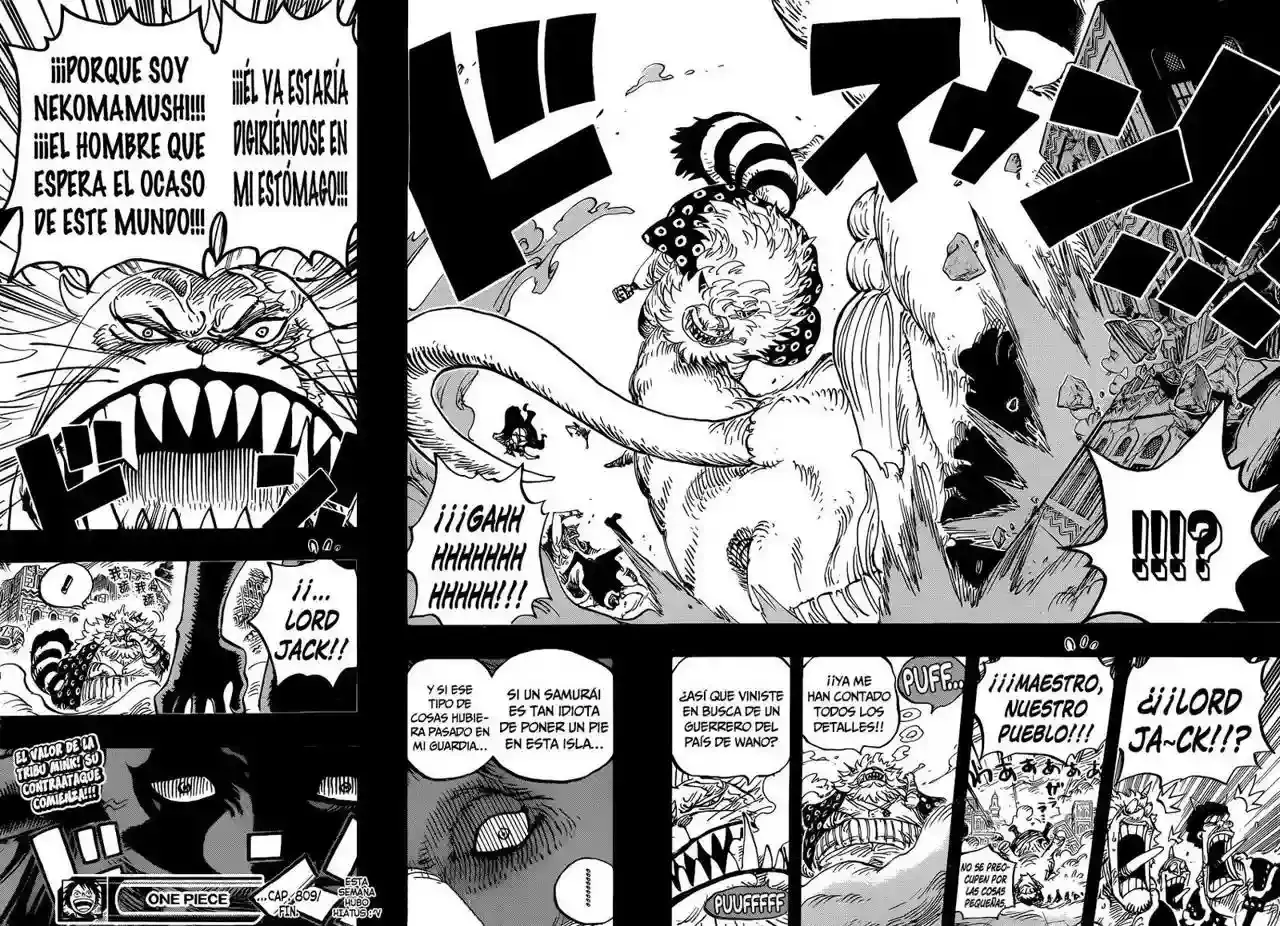 One Piece Capitulo 809: Maestro Nekomamushi página 17