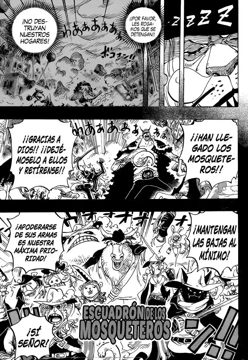 One Piece Capitulo 809: Maestro Nekomamushi página 8