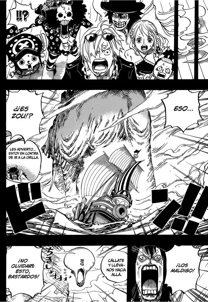 One Piece Capitulo 810: Llegan los piratas del sombrero rizado página 13