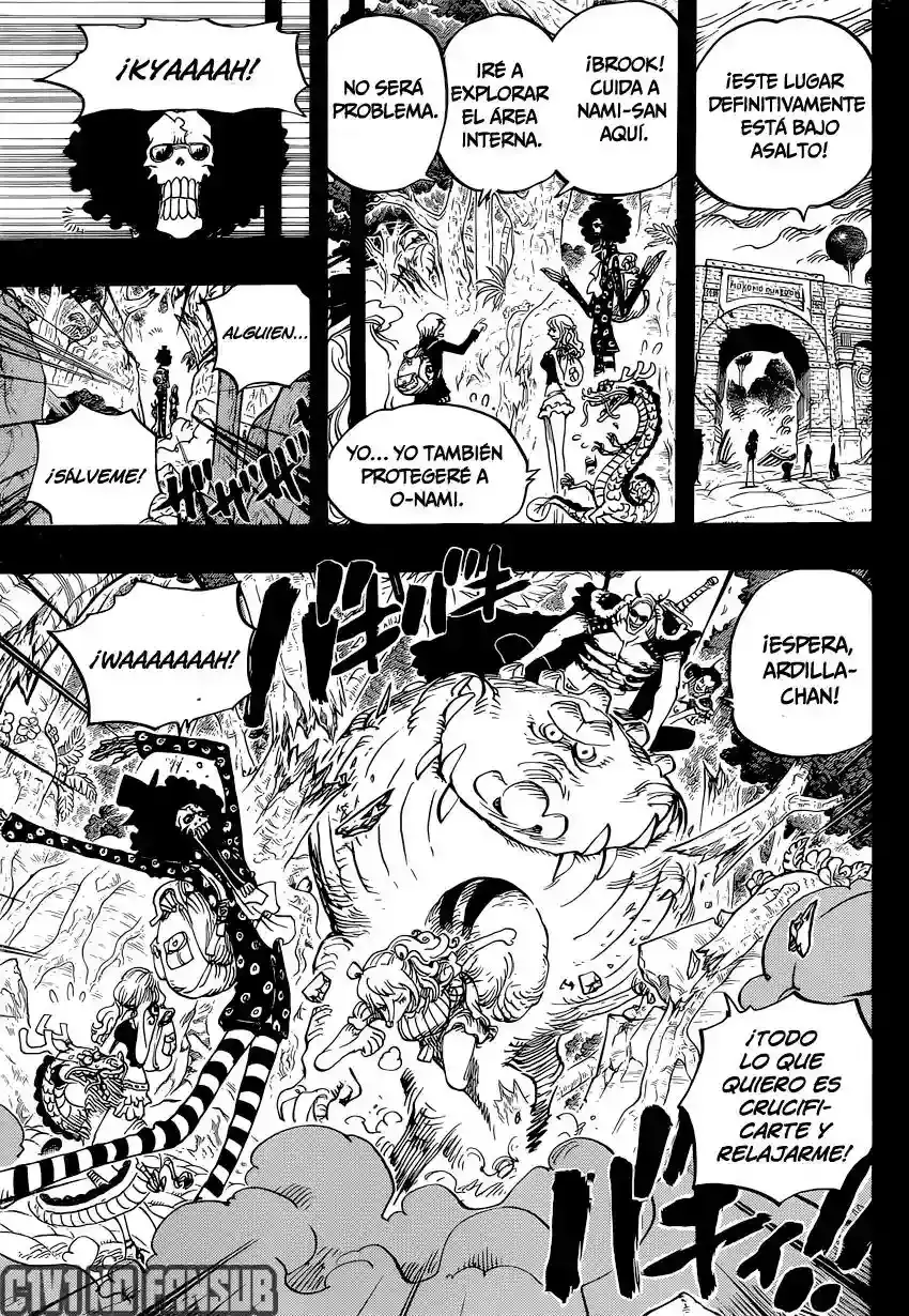 One Piece Capitulo 810: Llegan los piratas del sombrero rizado página 14