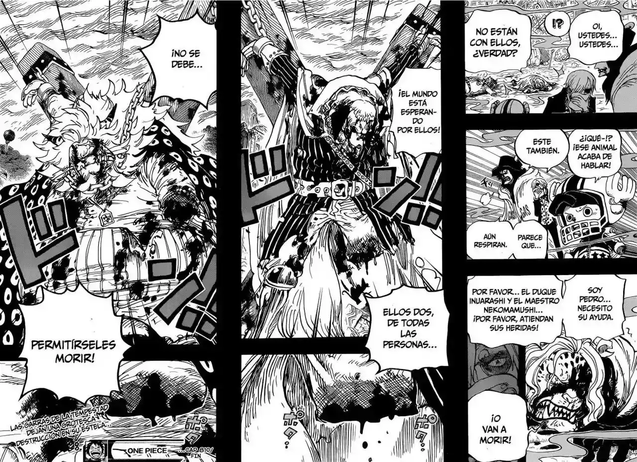 One Piece Capitulo 810: Llegan los piratas del sombrero rizado página 17