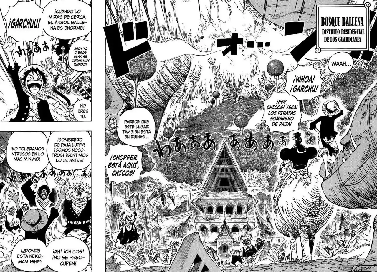 One Piece Capitulo 814: Vamos a ver al Maestro Nekomamushi página 11