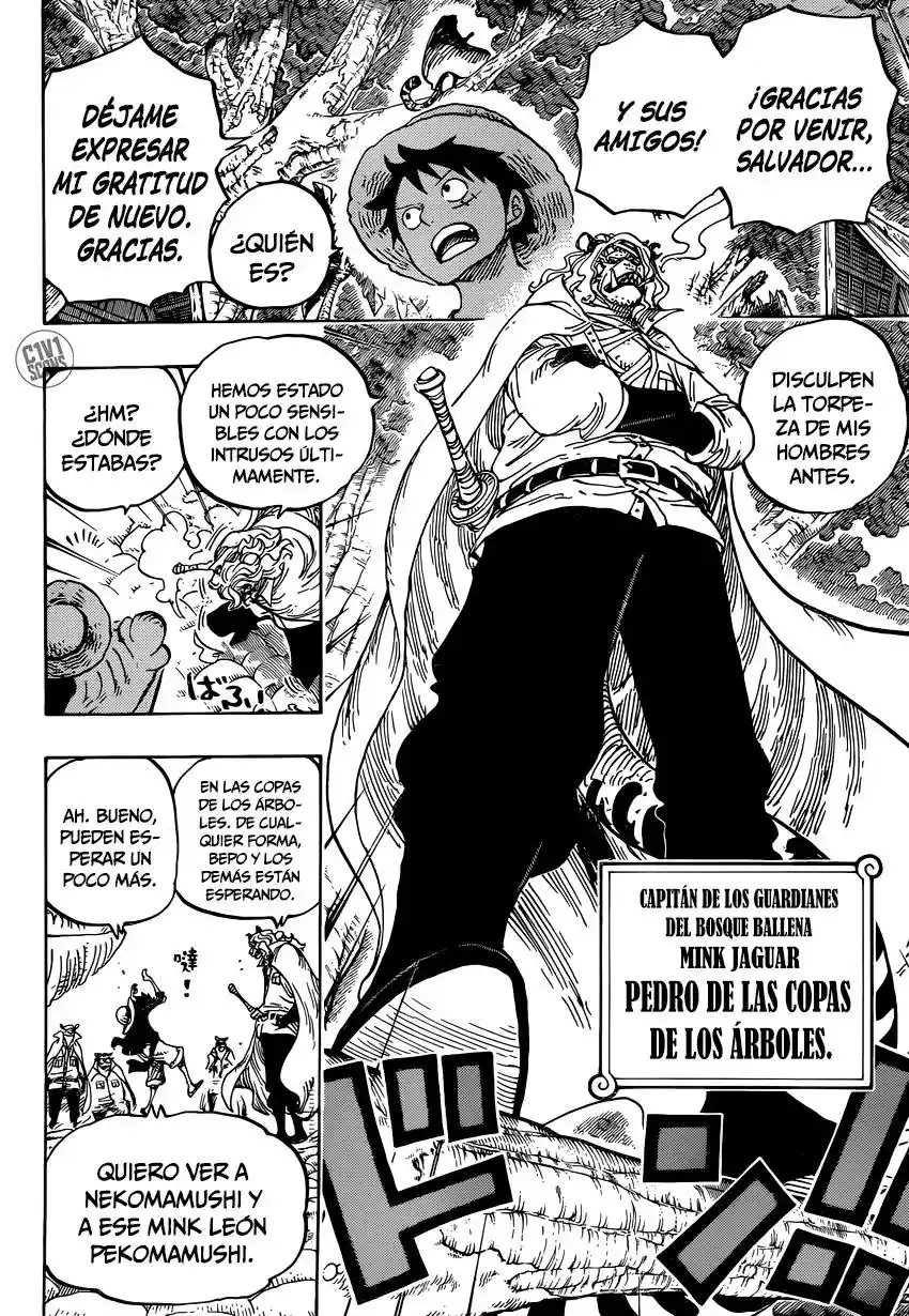 One Piece Capitulo 814: Vamos a ver al Maestro Nekomamushi página 12