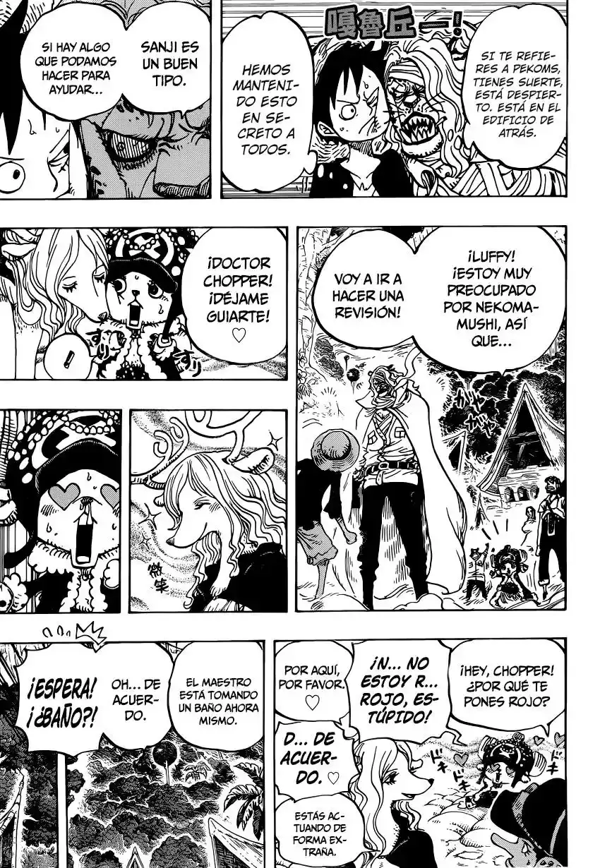 One Piece Capitulo 814: Vamos a ver al Maestro Nekomamushi página 13