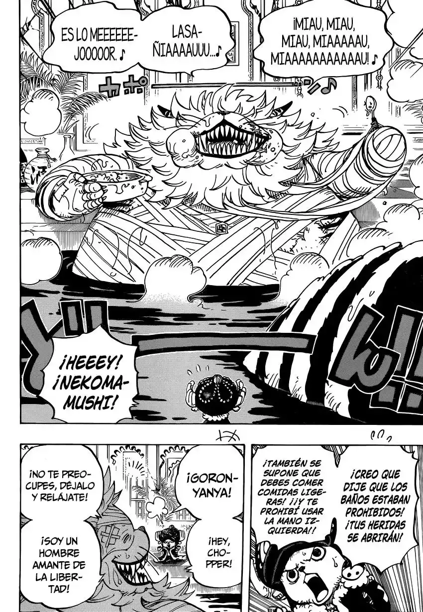 One Piece Capitulo 814: Vamos a ver al Maestro Nekomamushi página 14