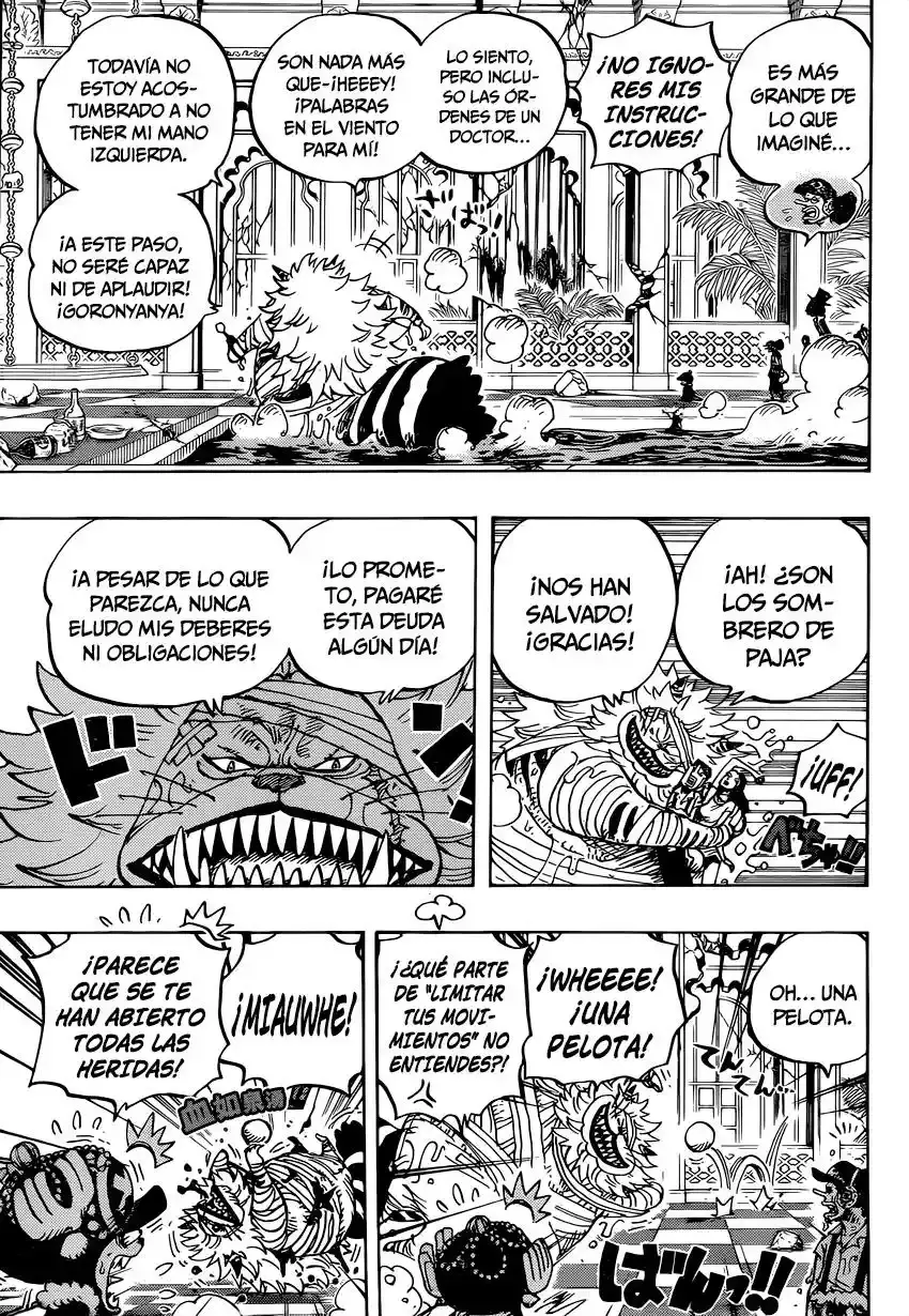 One Piece Capitulo 814: Vamos a ver al Maestro Nekomamushi página 15