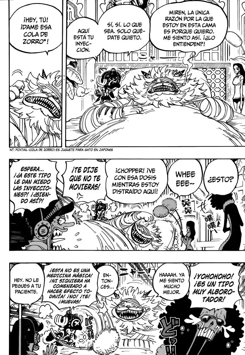 One Piece Capitulo 814: Vamos a ver al Maestro Nekomamushi página 16