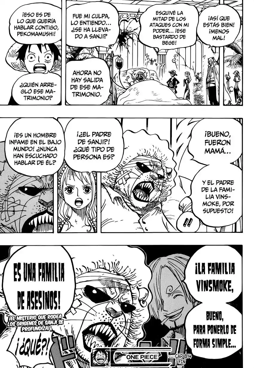 One Piece Capitulo 814: Vamos a ver al Maestro Nekomamushi página 17