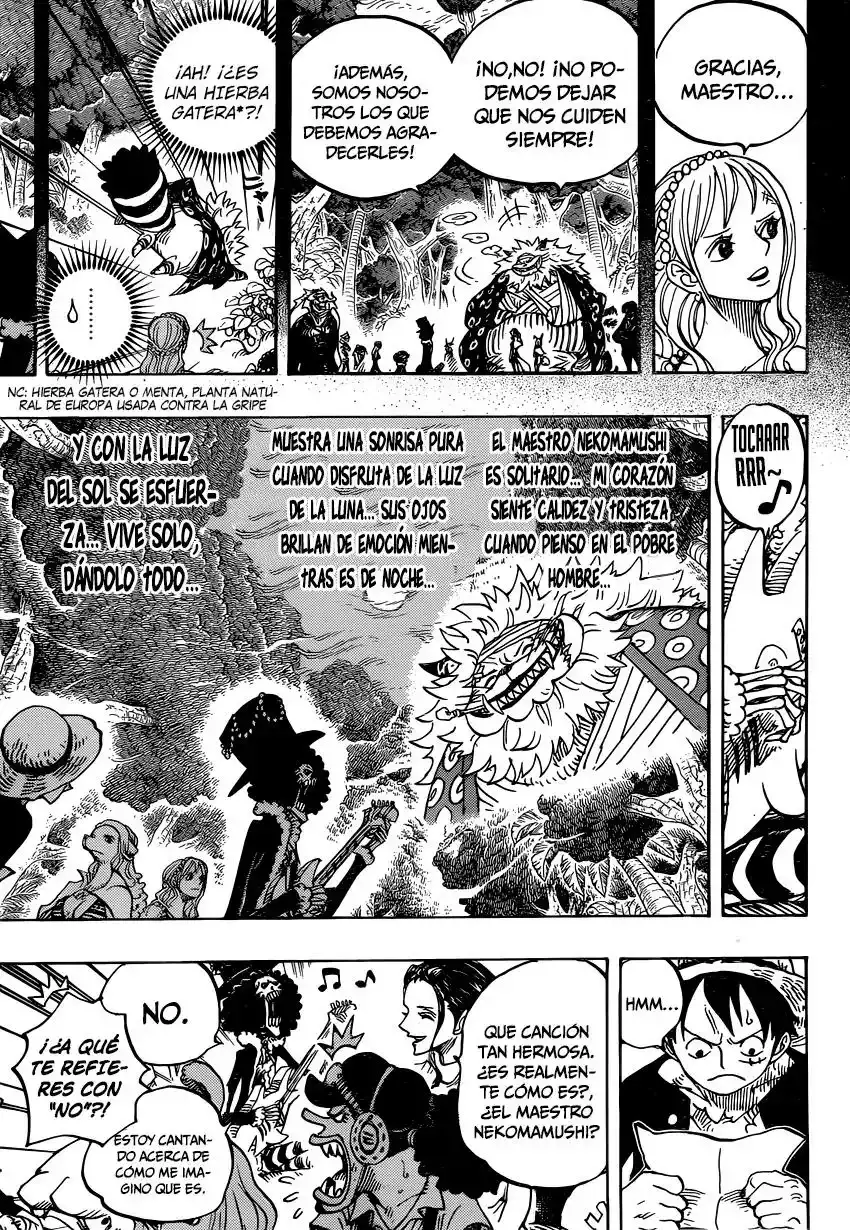 One Piece Capitulo 814: Vamos a ver al Maestro Nekomamushi página 4