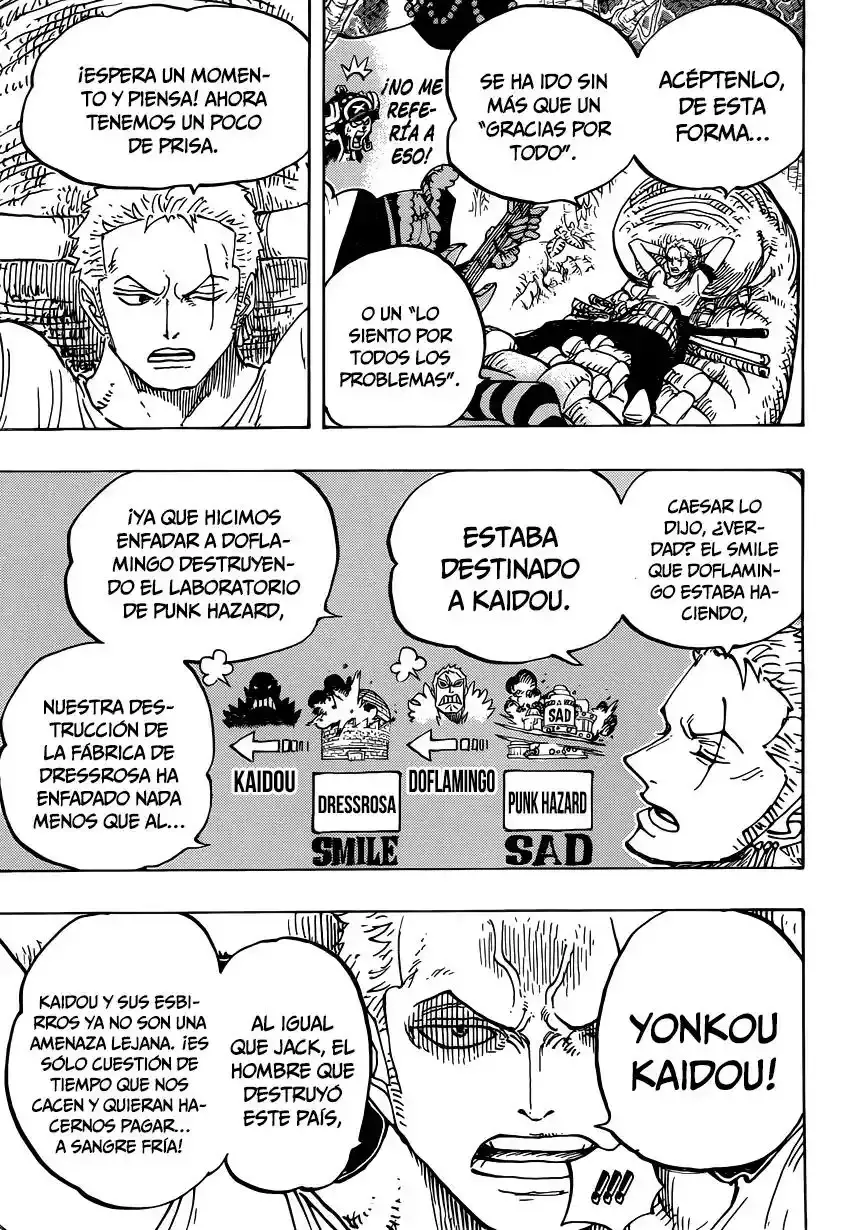 One Piece Capitulo 814: Vamos a ver al Maestro Nekomamushi página 8