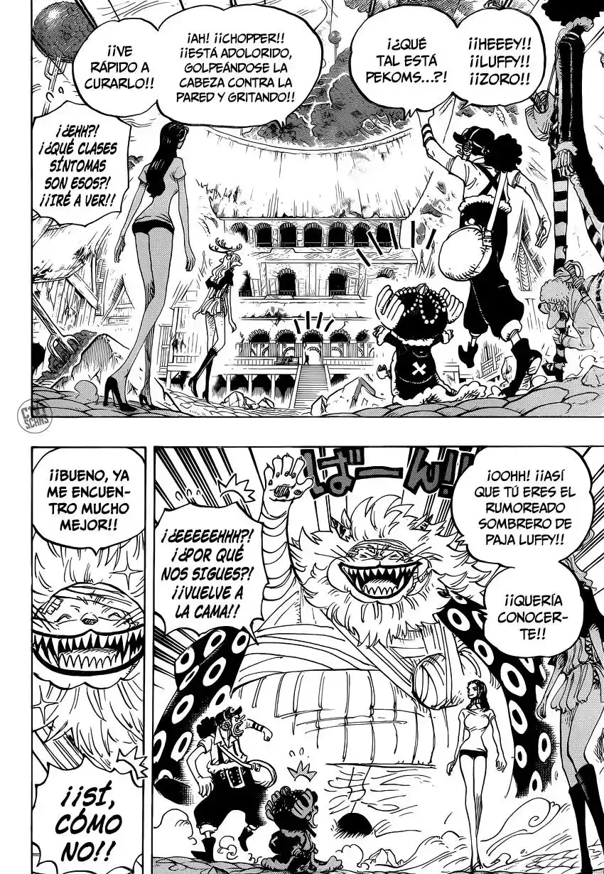 One Piece Capitulo 815: Llévame contigo página 11