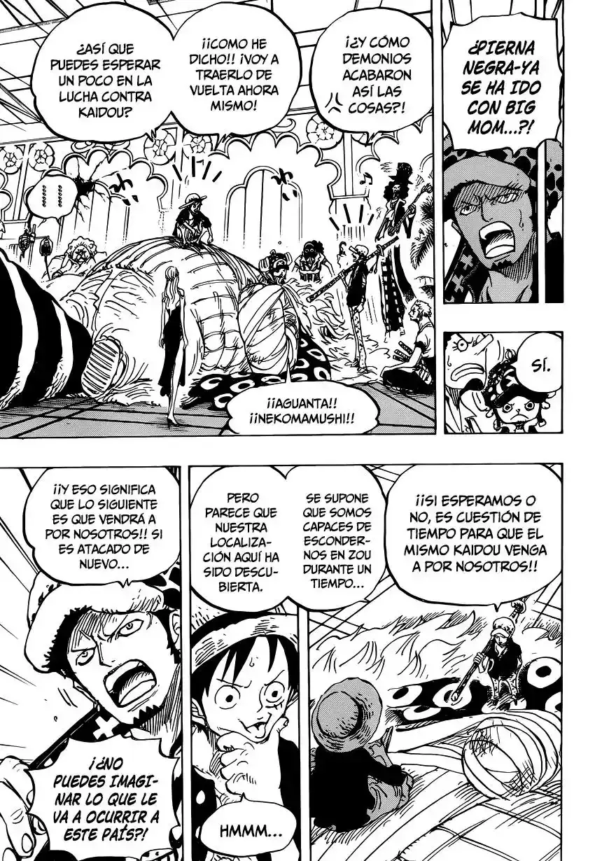 One Piece Capitulo 815: Llévame contigo página 14
