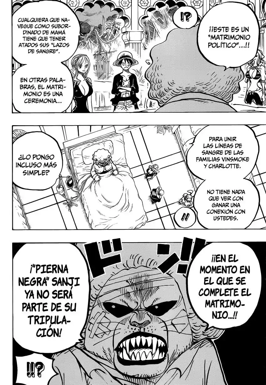 One Piece Capitulo 815: Llévame contigo página 7