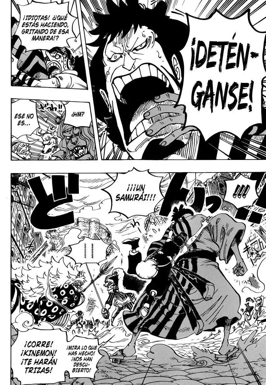 One Piece Capitulo 816: Perro vs. Gato página 13