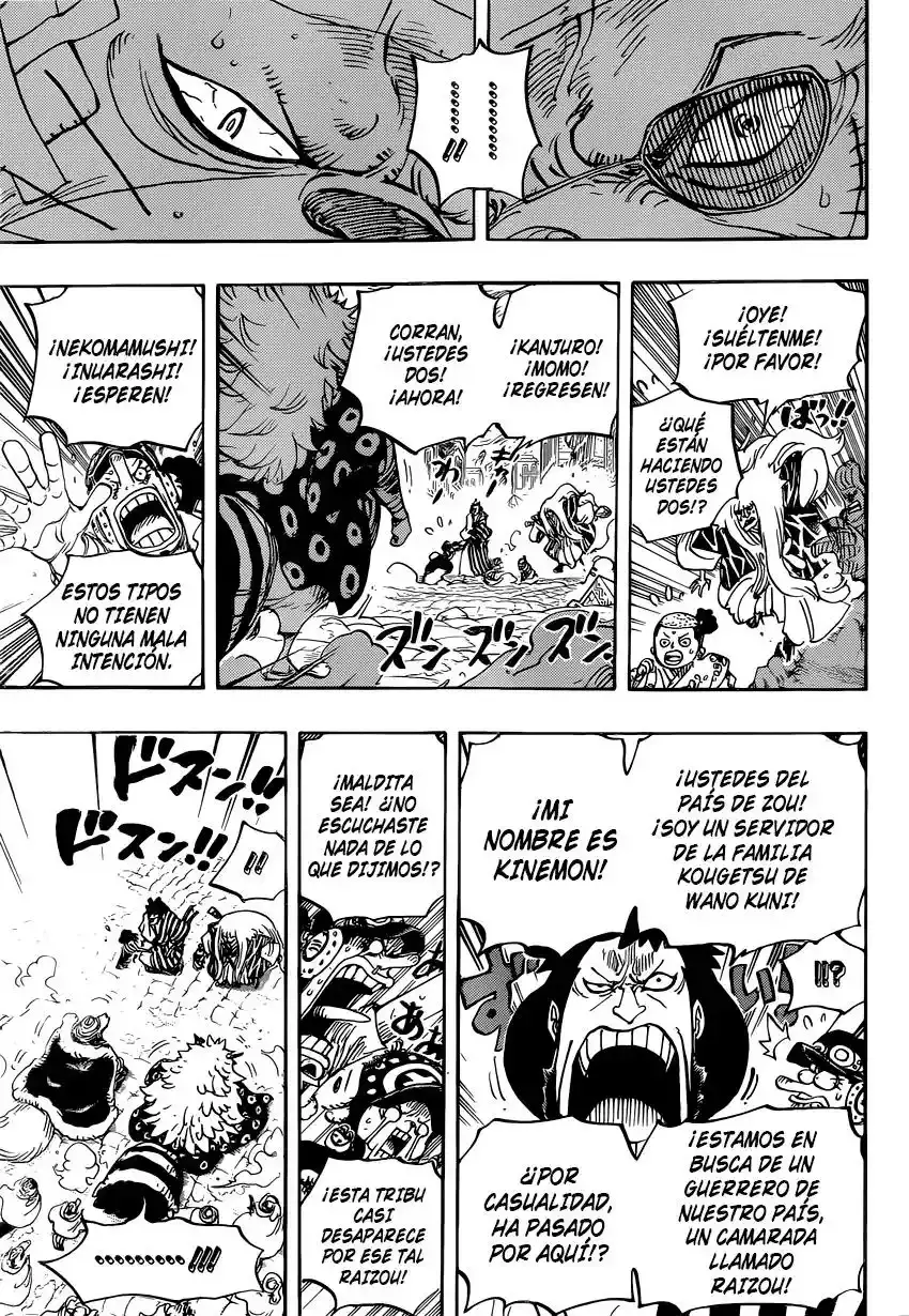 One Piece Capitulo 816: Perro vs. Gato página 14