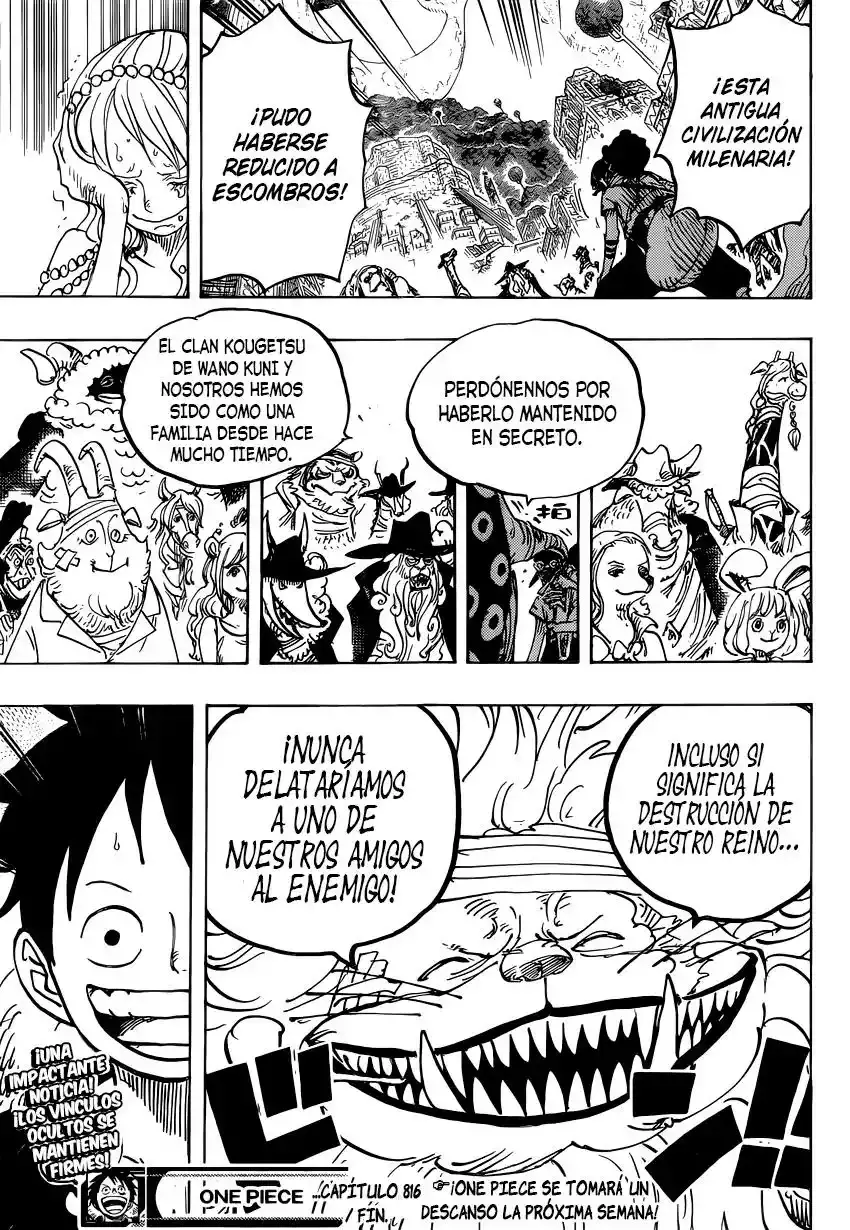 One Piece Capitulo 816: Perro vs. Gato página 17