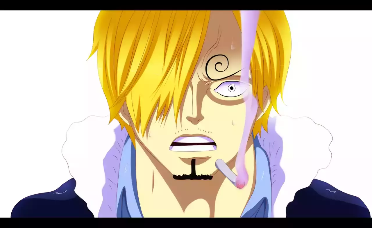 One Piece Capitulo 816: Perro vs. Gato página 18