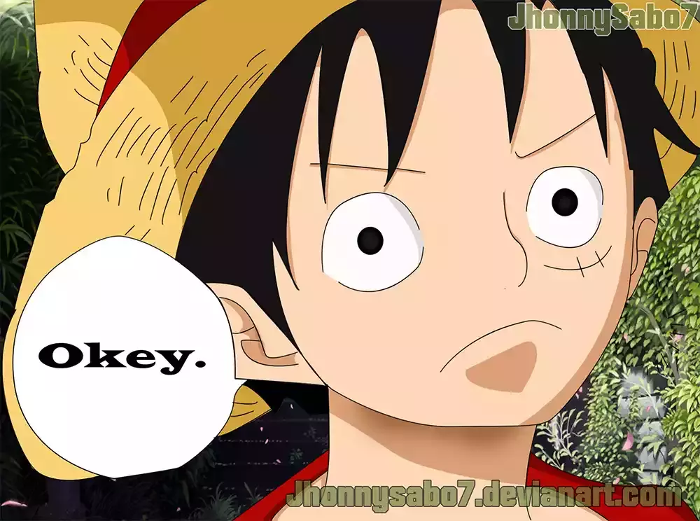 One Piece Capitulo 816: Perro vs. Gato página 19