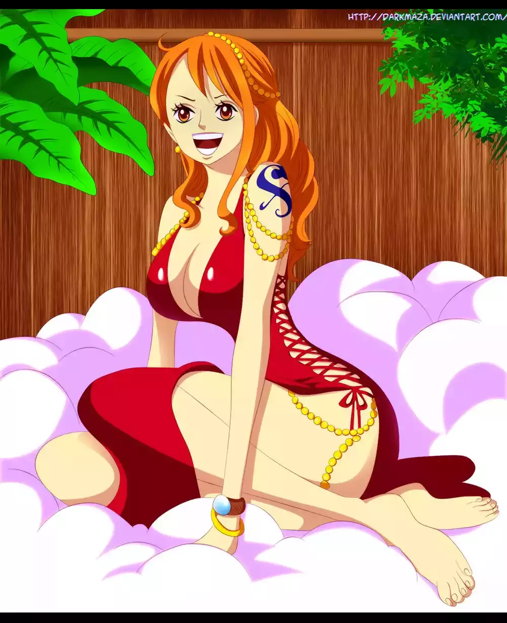One Piece Capitulo 816: Perro vs. Gato página 27