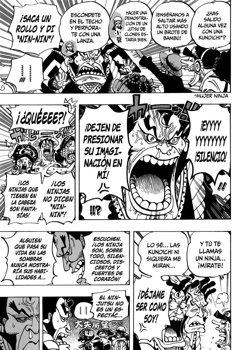 One Piece Capitulo 817: Raizou de la niebla página 18