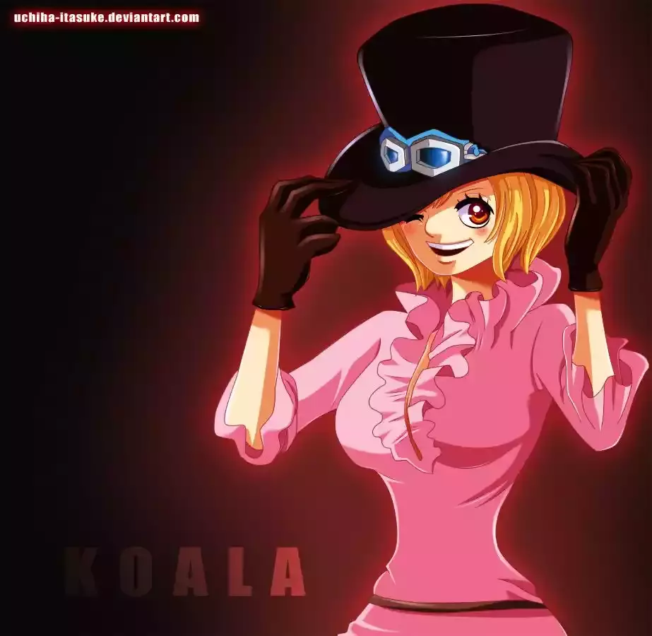 One Piece Capitulo 819: null página 28