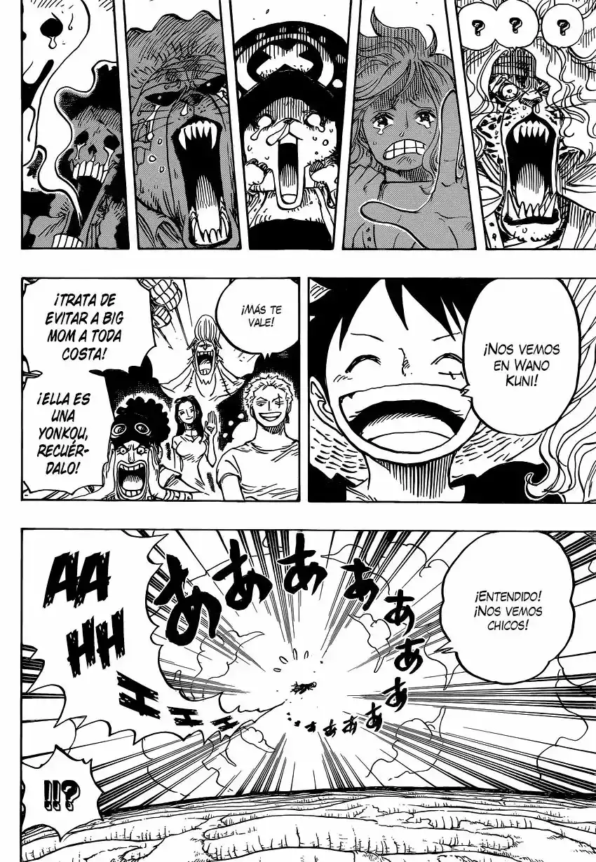 One Piece Capitulo 822: Bajando del elefante página 17