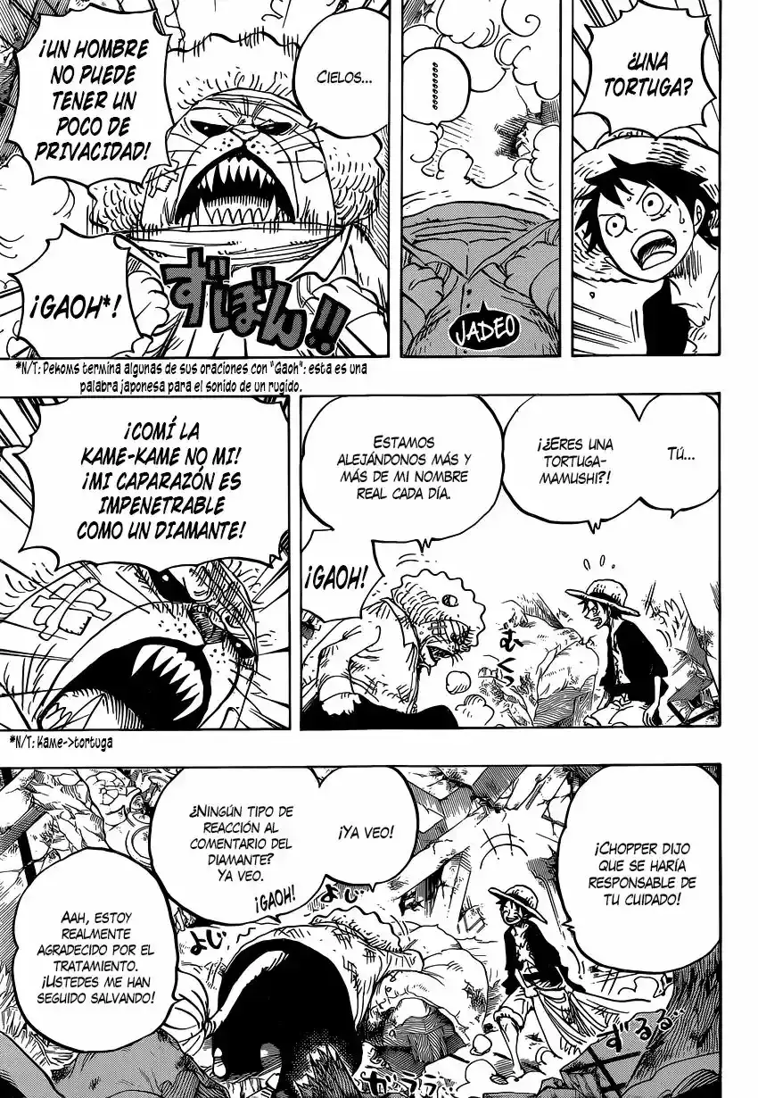 One Piece Capitulo 822: Bajando del elefante página 8