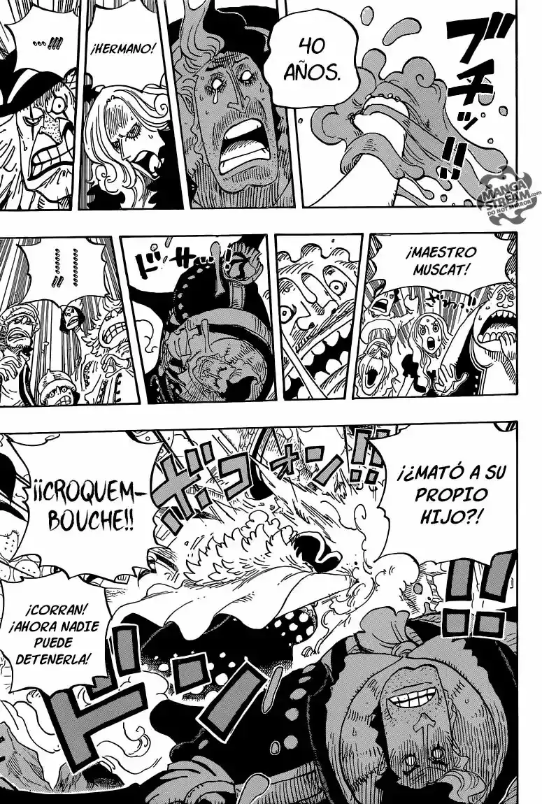 One Piece Capitulo 829: Yonkou, la pirata Charlotte Linlin página 14
