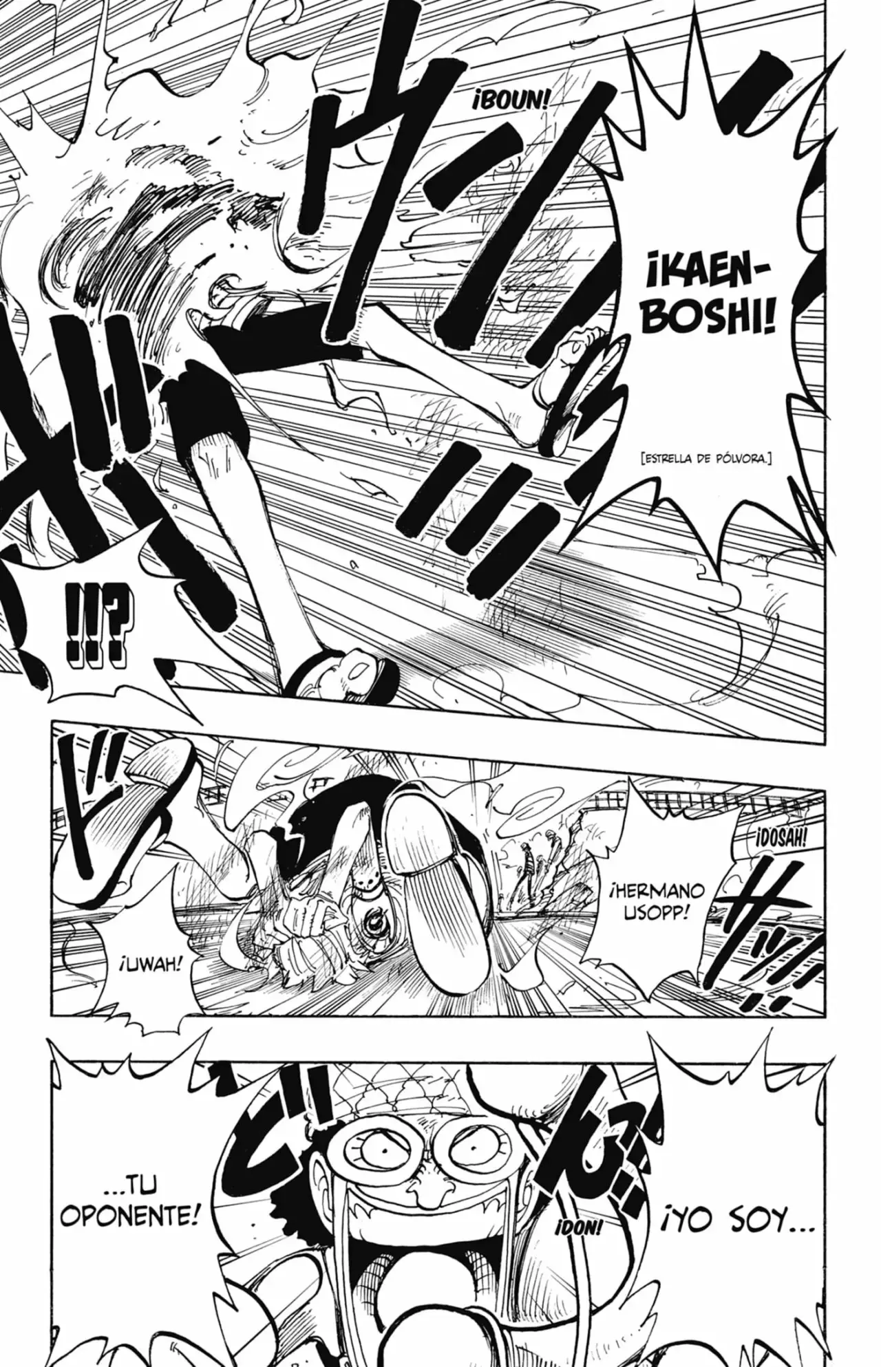 One Piece Capitulo 83 página 13