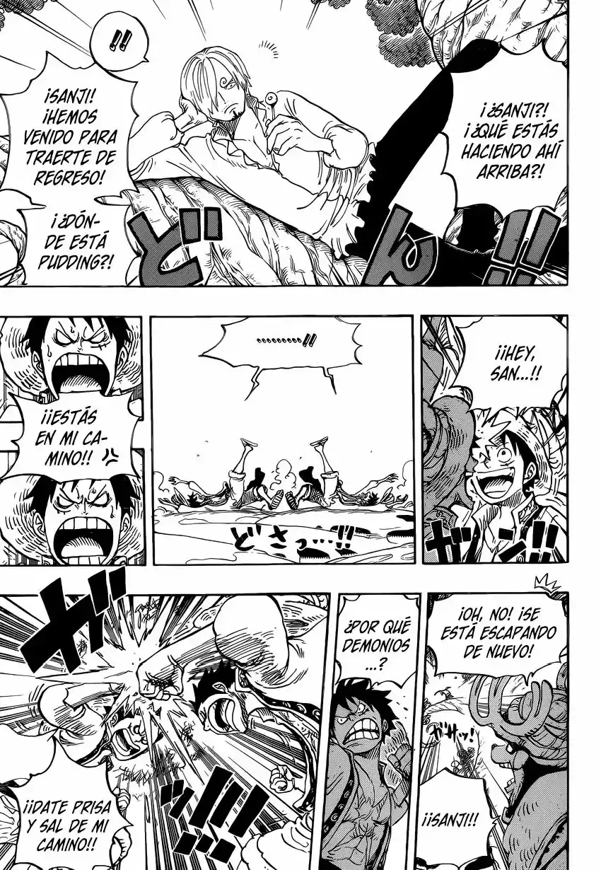 One Piece Capitulo 831: Aventura en un Misterioso Bosque página 14