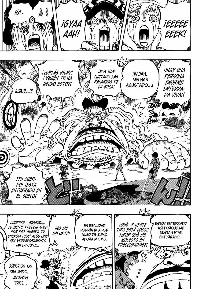 One Piece Capitulo 831: Aventura en un Misterioso Bosque página 16