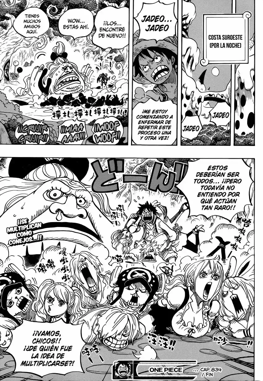 One Piece Capitulo 834: Mi sueño página 18
