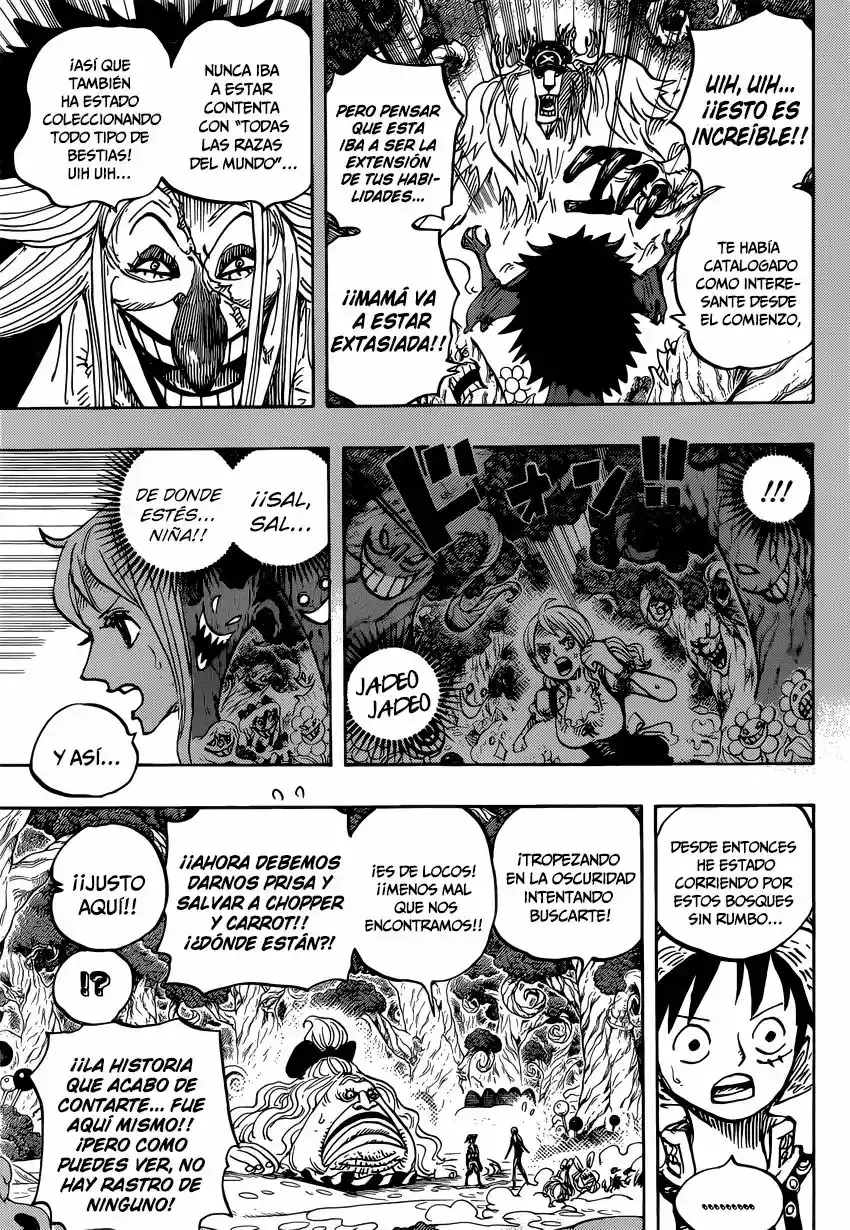 One Piece Capitulo 835: Nación de las almas página 14