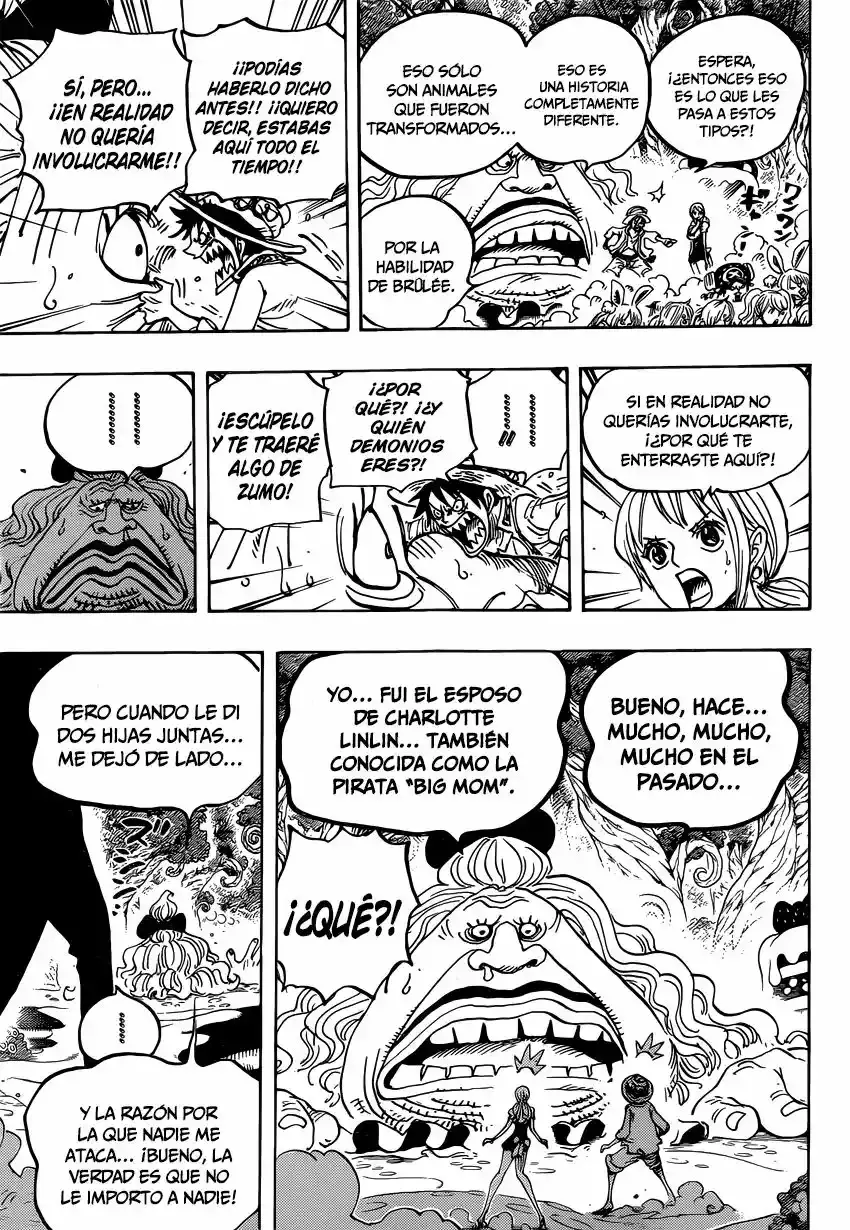 One Piece Capitulo 835: Nación de las almas página 18