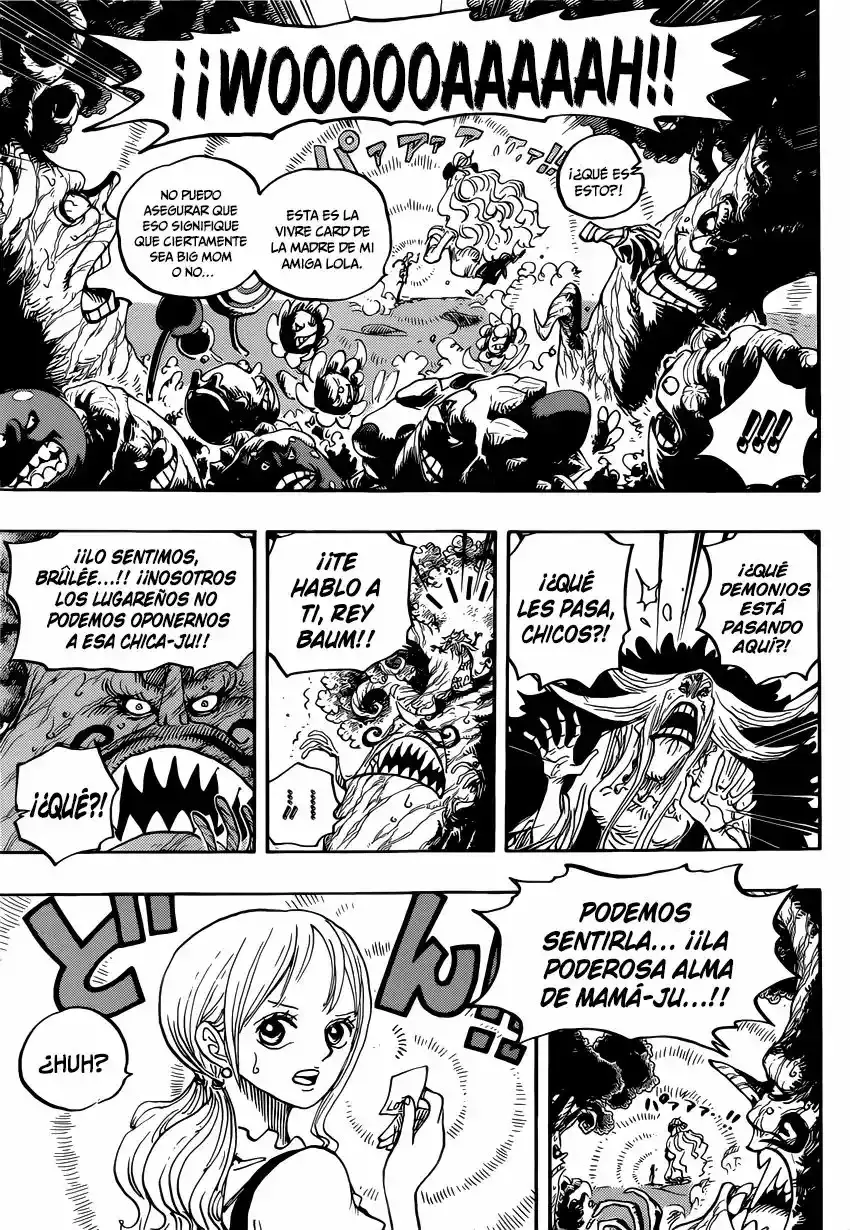One Piece Capitulo 836: La Vivre Card de Lola página 14