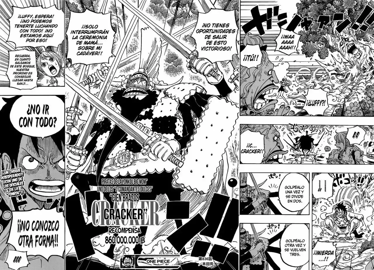 One Piece Capitulo 836: La Vivre Card de Lola página 15