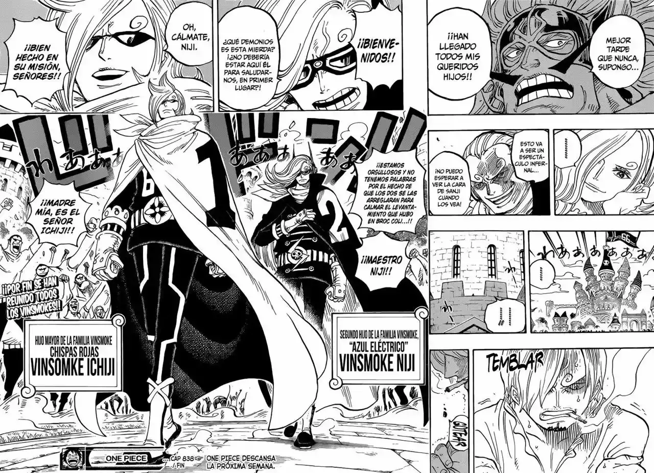 One Piece Capitulo 838: Choniki página 15