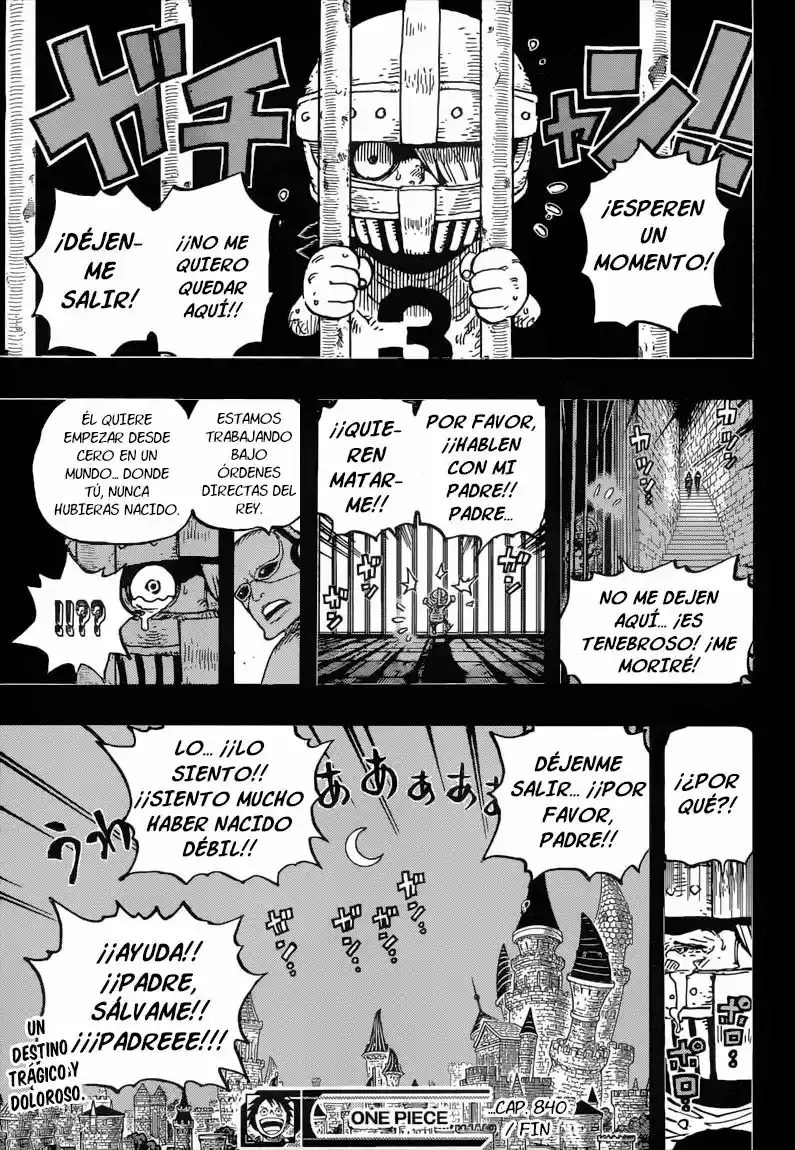 One Piece Capitulo 840: Máscara de Hierro página 18