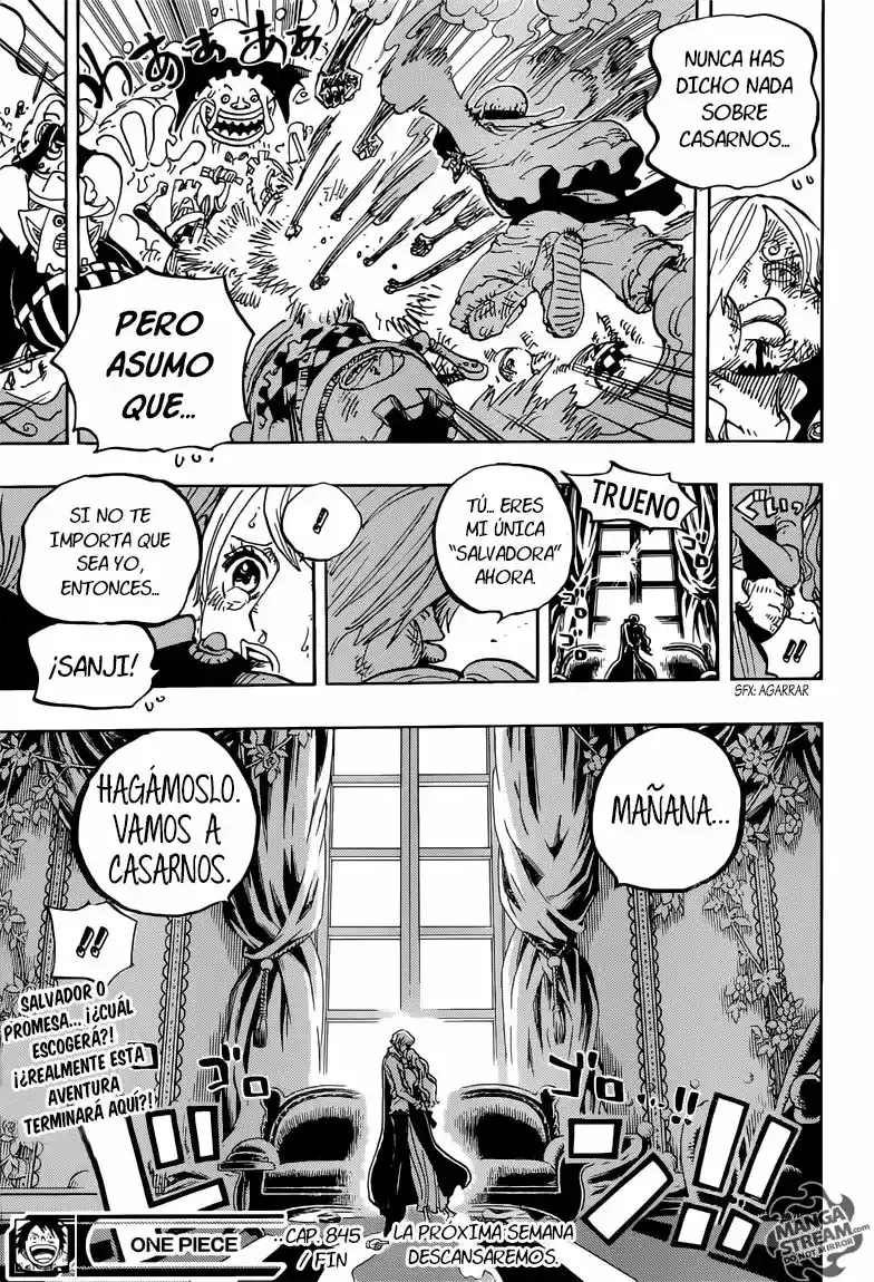 One Piece Capitulo 845: La armada enfurecida página 17