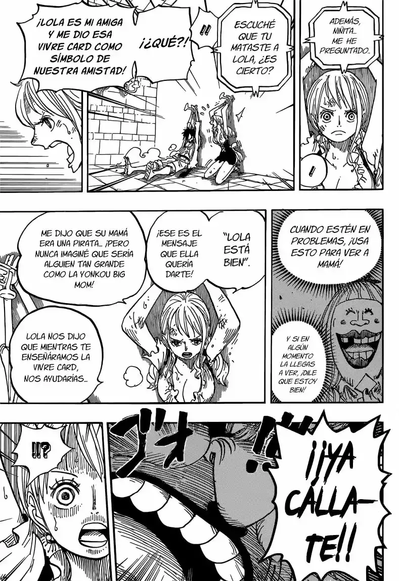 One Piece Capitulo 847: Luffy y Big Mom página 14