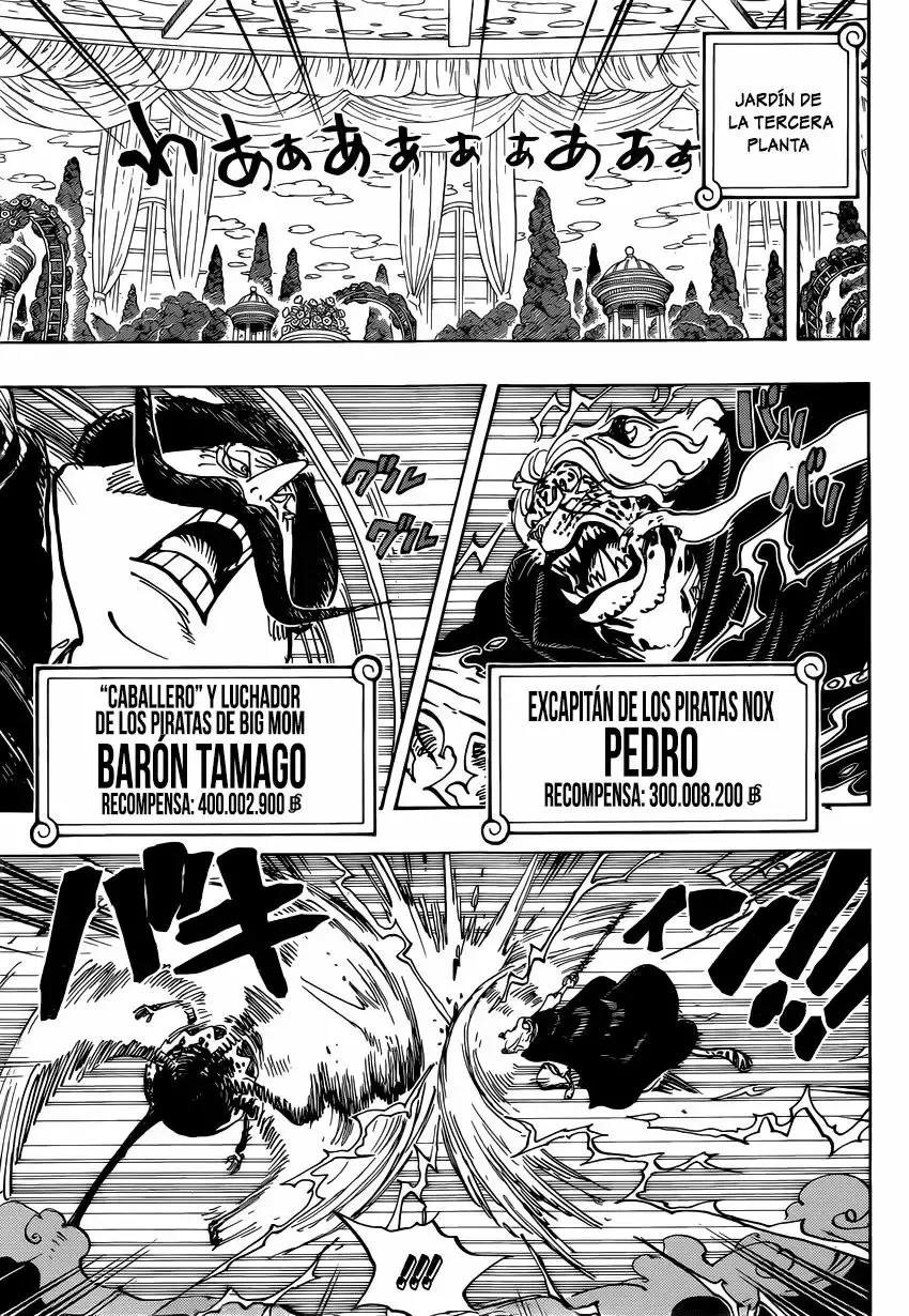 One Piece Capitulo 850: Rayo de esperanza página 10