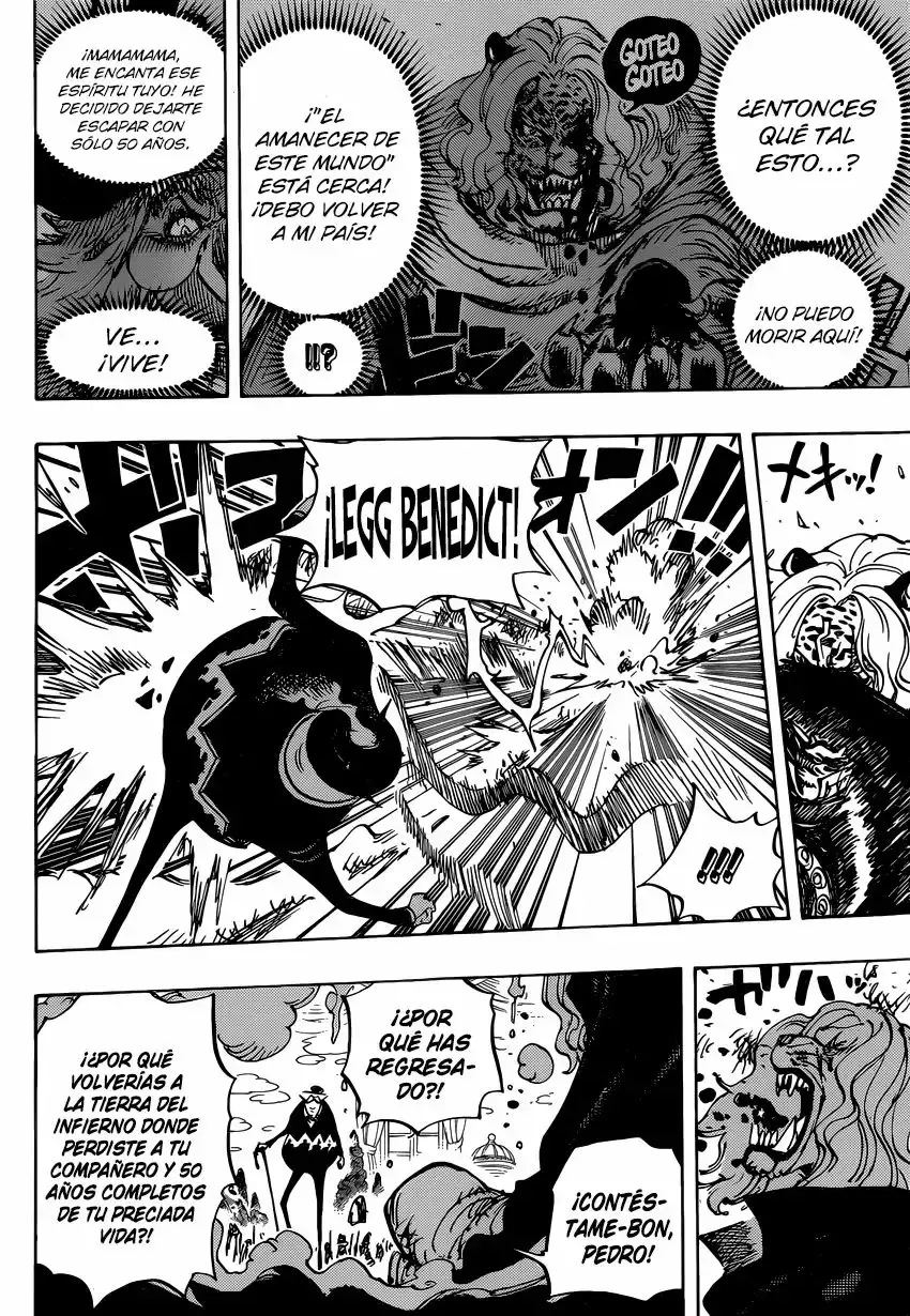One Piece Capitulo 850: Rayo de esperanza página 13